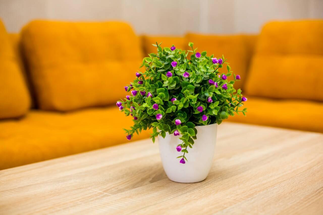 Apartments In The Center 리비프 외부 사진